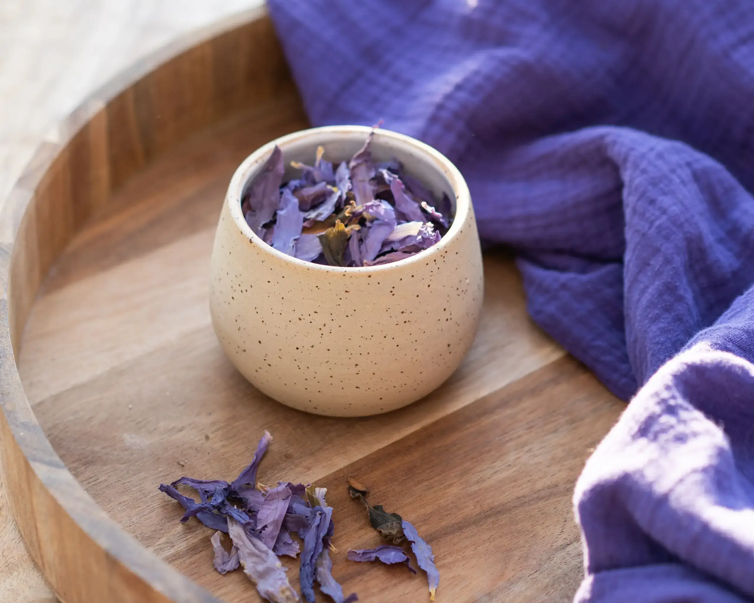 Blauwe Lotus Lonneke Aerts