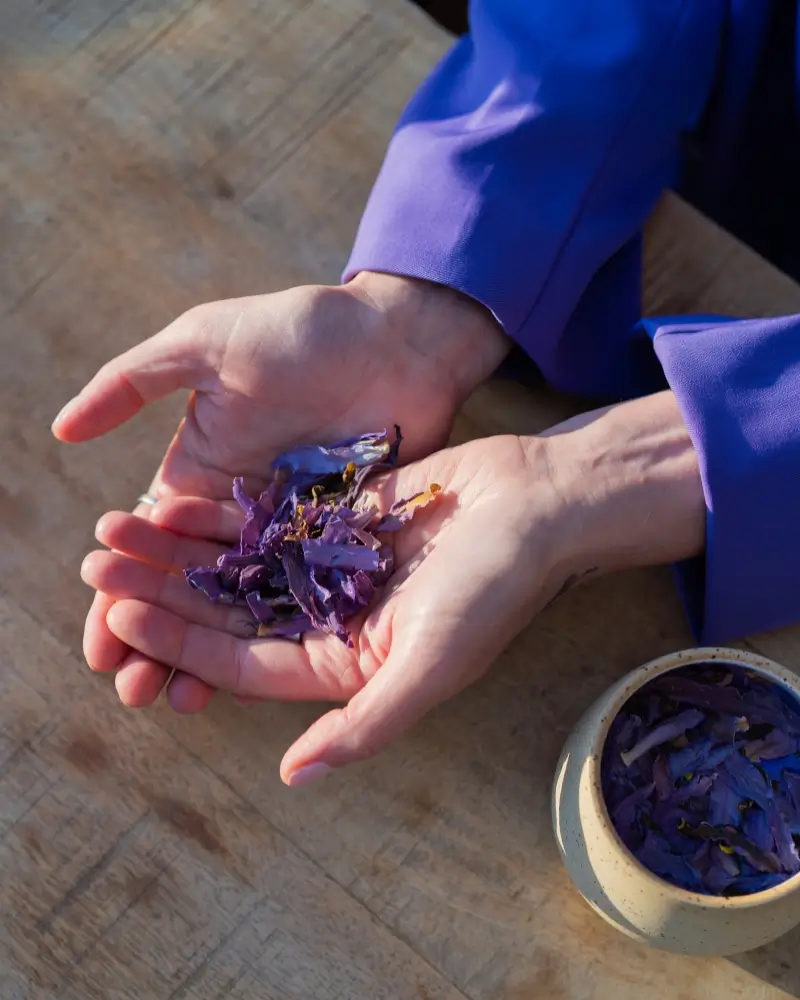 Blauwe Lotus tinctuur