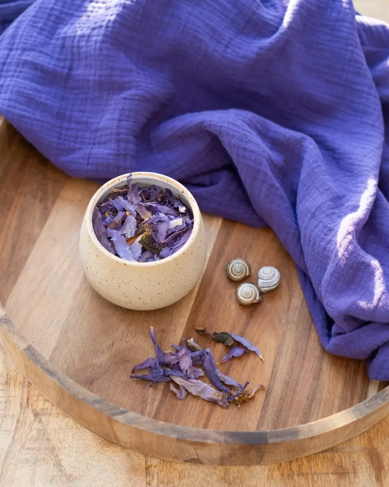 Blauwe Lotus tinctuur Lonneke Aerts